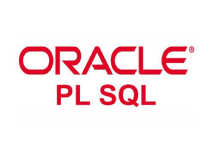 Oracle PL/SQL 